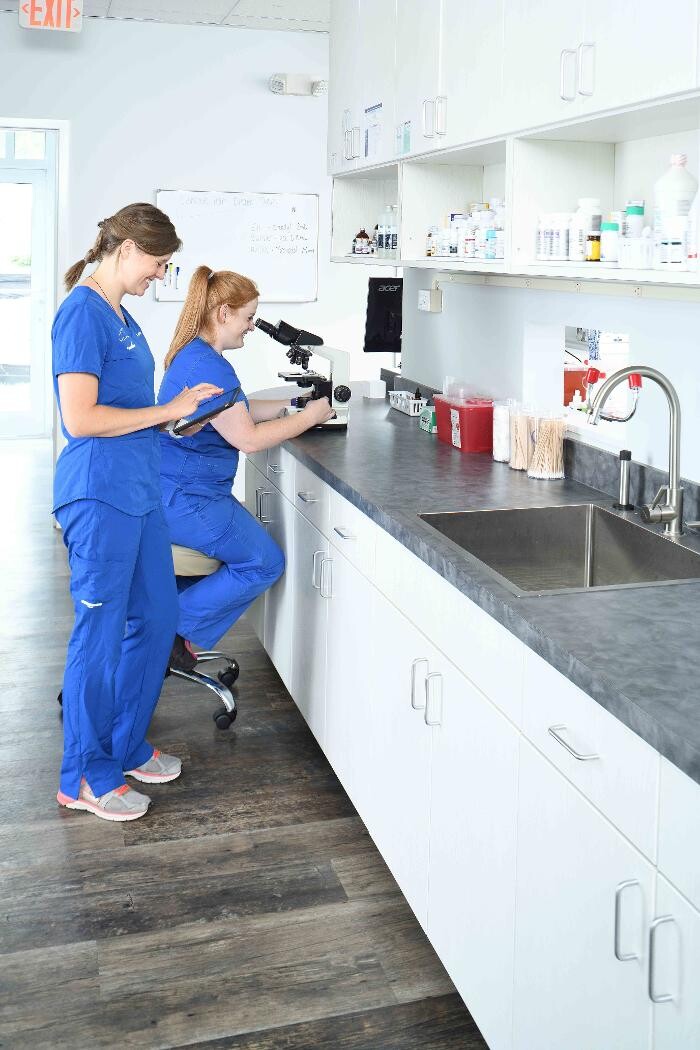 Images Clements Ferry Veterinary