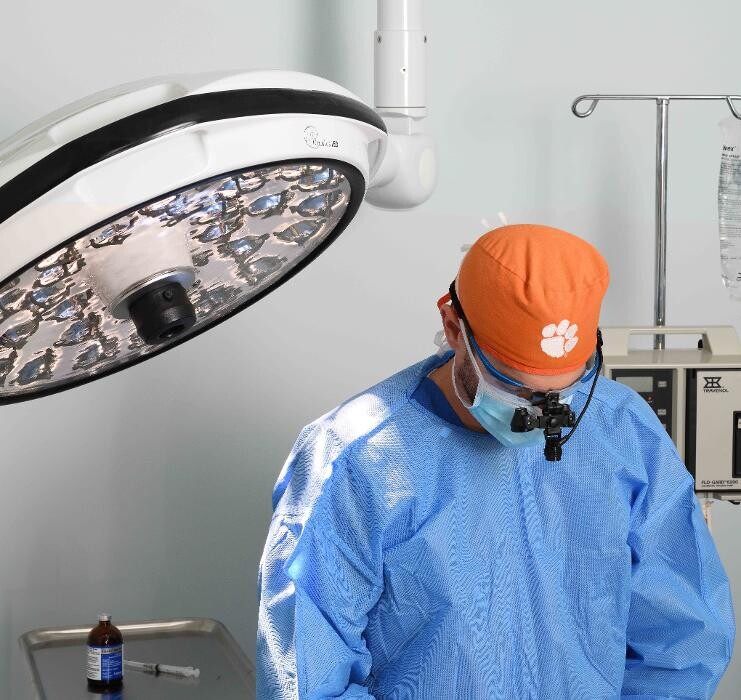 Images Clements Ferry Veterinary