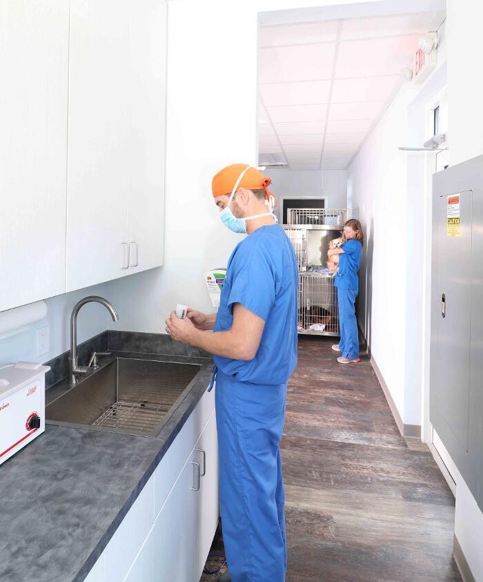 Images Clements Ferry Veterinary