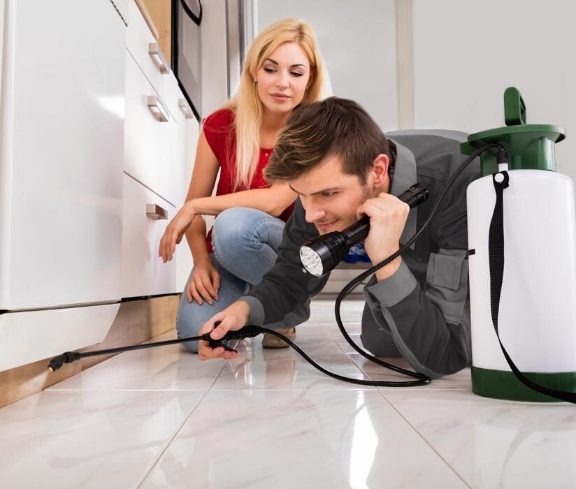 Images Bug Ninja Pest Control