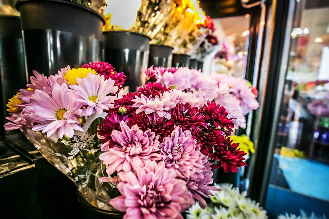 Images Jennie's Flowers St. Petersburg