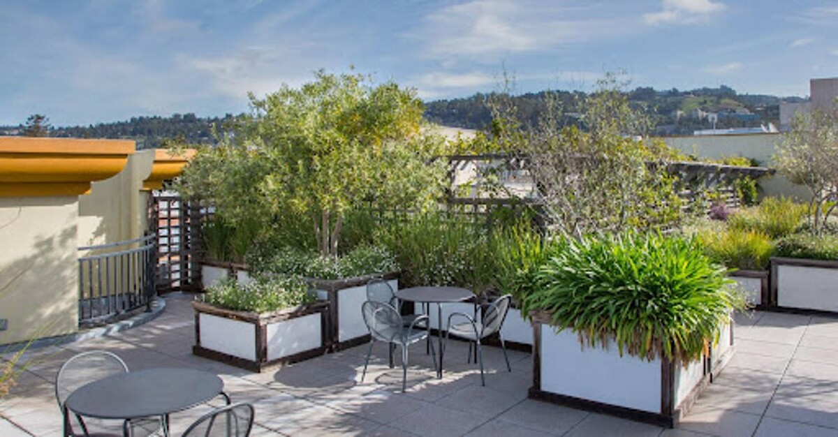 Images Sterling Berkeley Collection