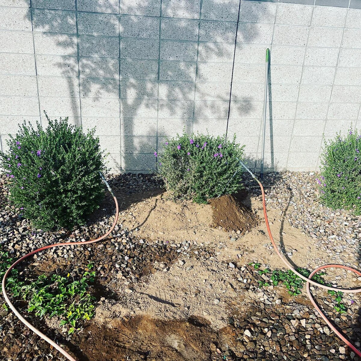 Images Arsenal Exterminating