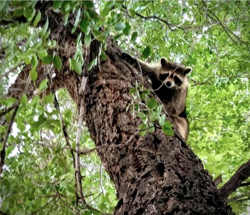 Images Healing Waters Resort & Spa