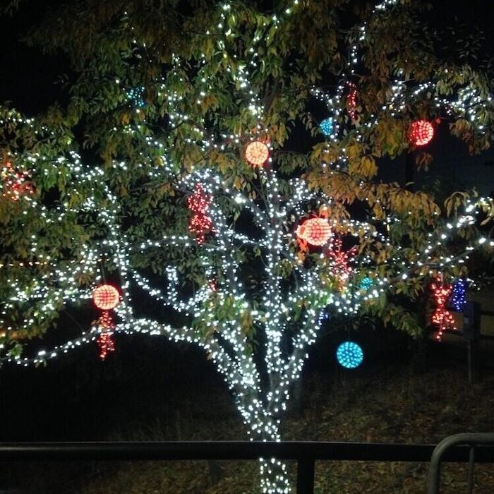 Images Aspen Tree Service - SavATree