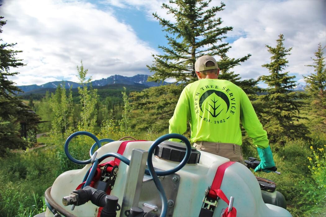 Images Aspen Tree Service - SavATree
