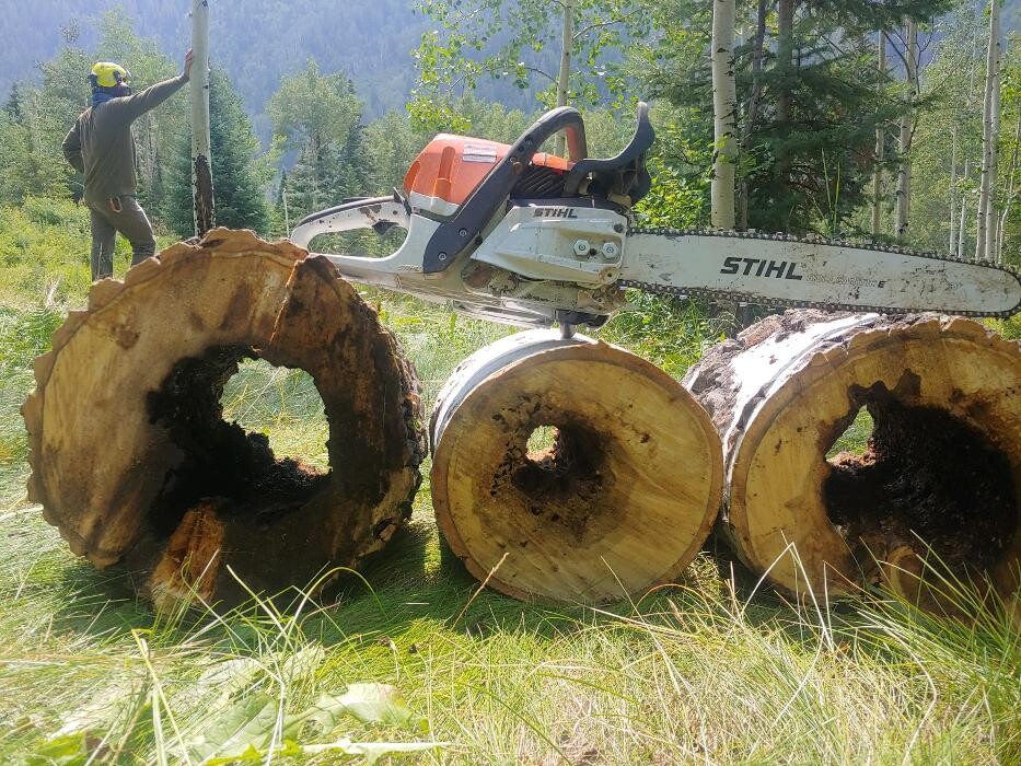 Images Aspen Tree Service - SavATree