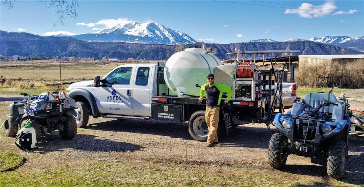 Images Aspen Tree Service - SavATree
