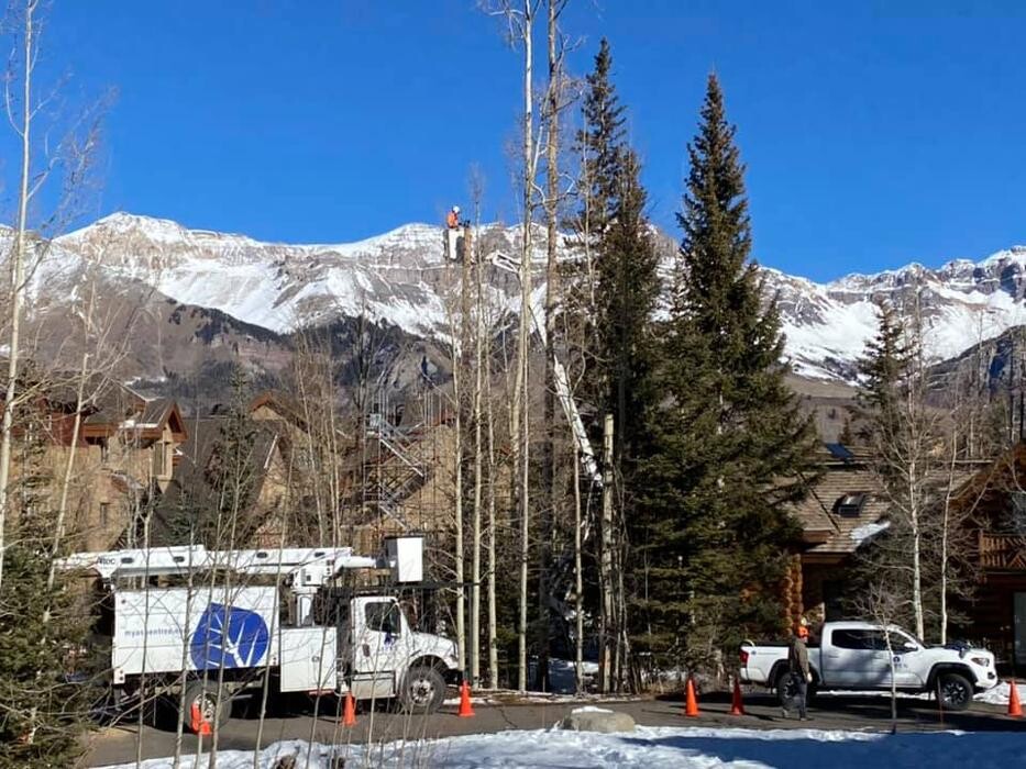 Images Aspen Tree Service - SavATree