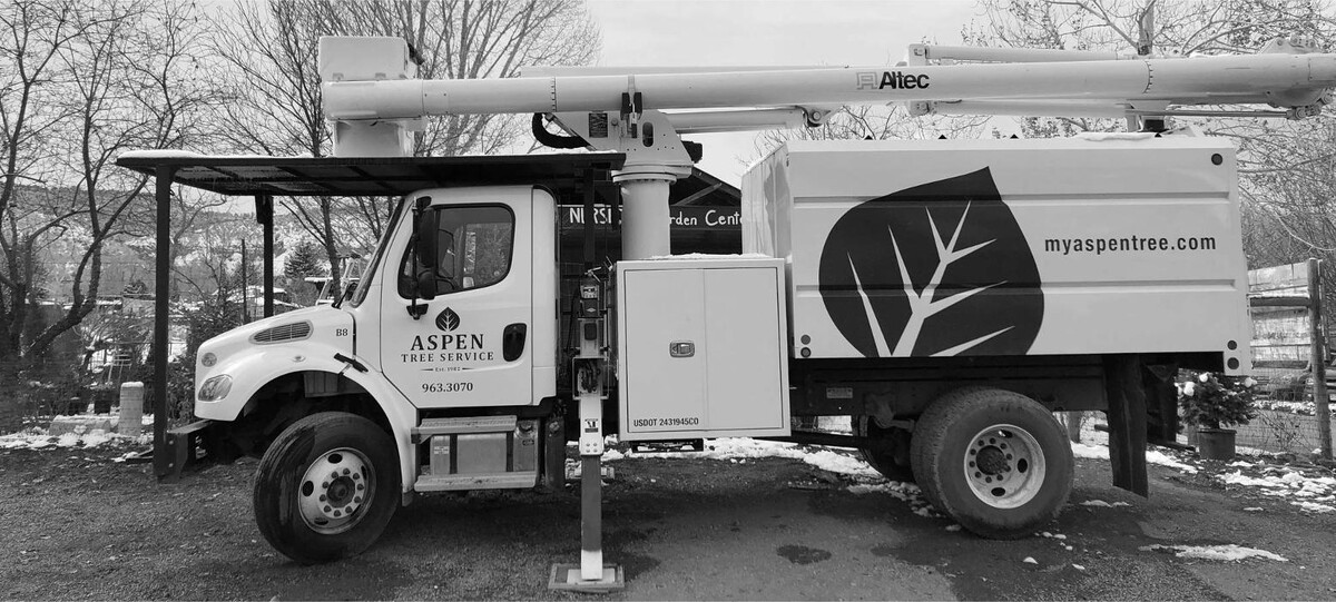Images Aspen Tree Service - SavATree