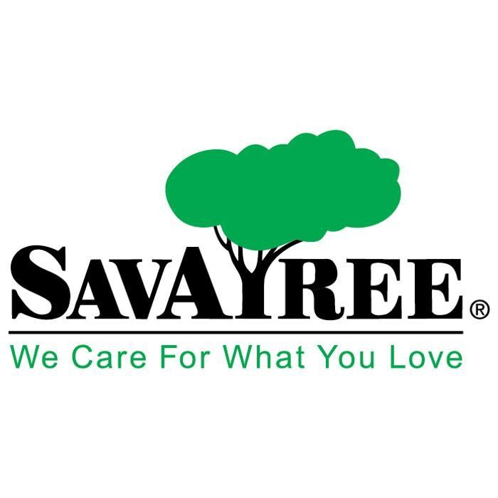Images SavATree - Tree Service & Lawn Care