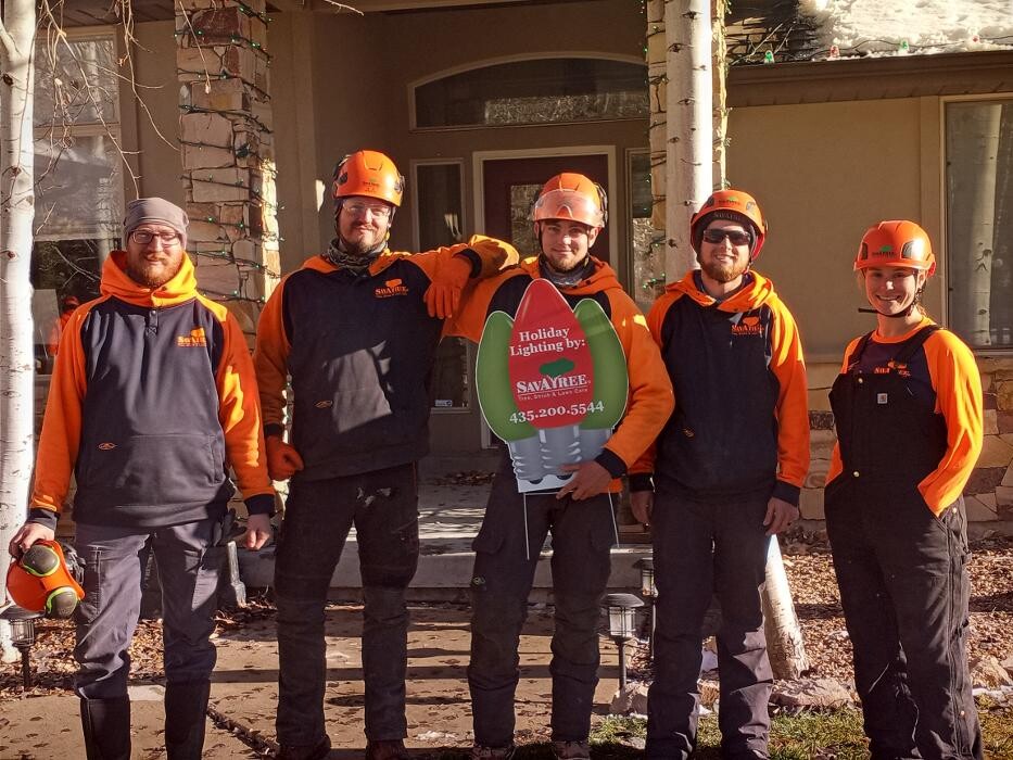 Images SavATree - Tree Service & Lawn Care