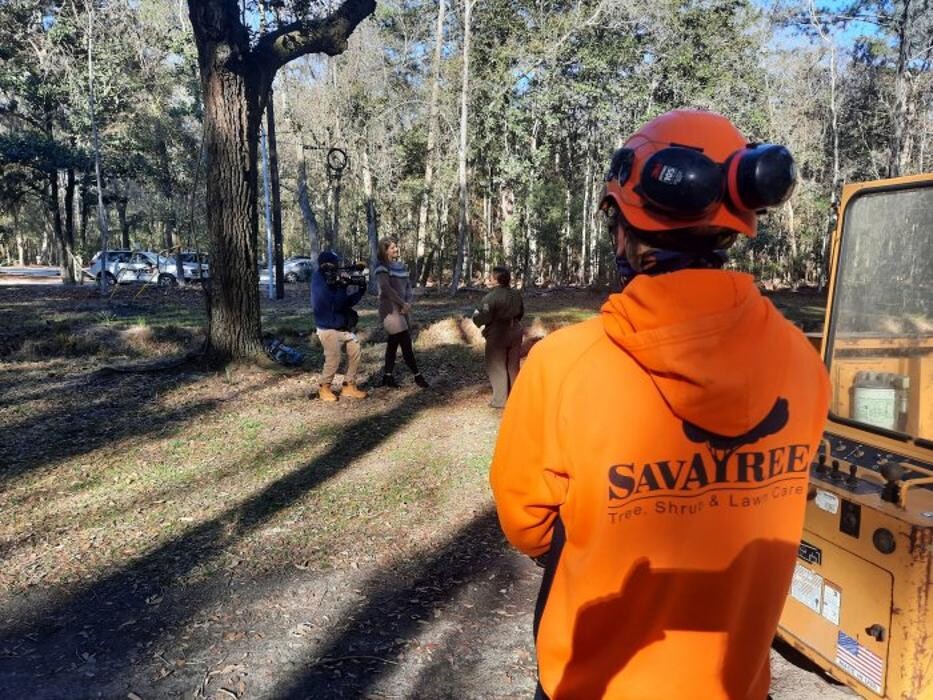 Images SavATree - Tree Service & Lawn Care
