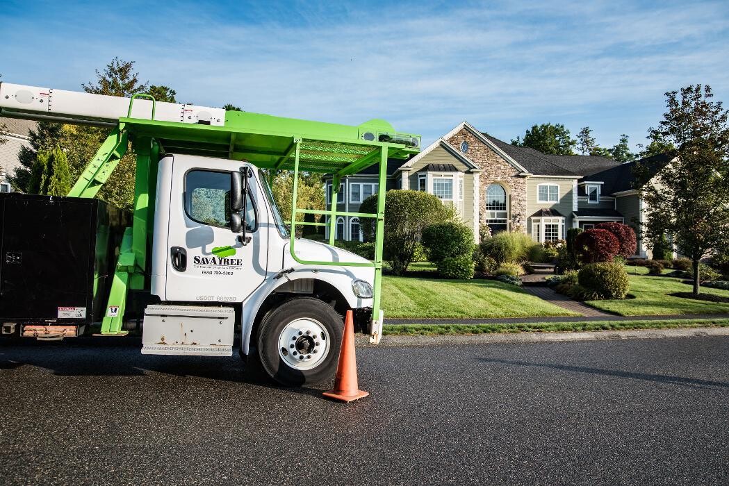 Images SavATree - Tree Service & Lawn Care