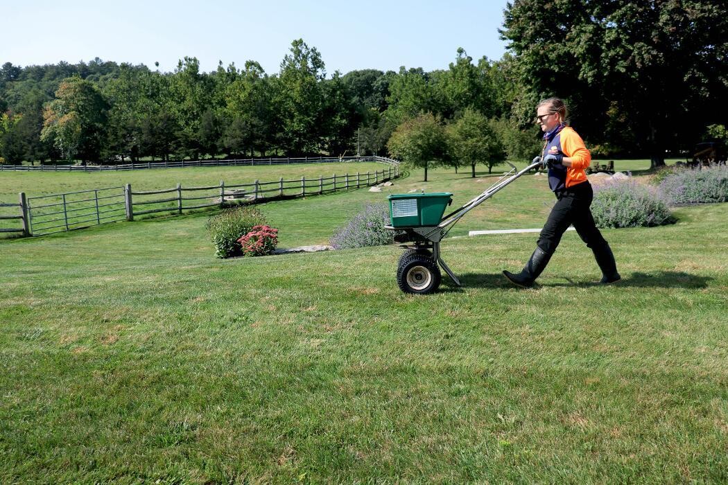 Images SavATree - Tree Service & Lawn Care