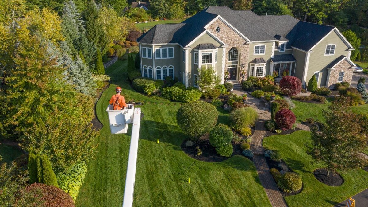 Images SavATree - Tree Service & Lawn Care