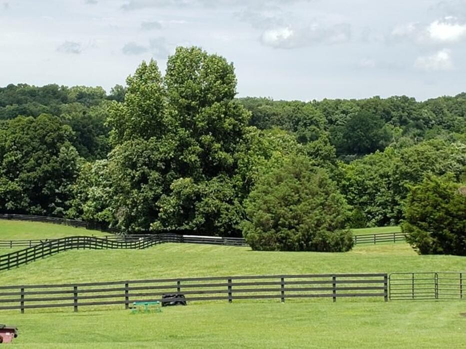 Images SavATree - Tree Service & Lawn Care