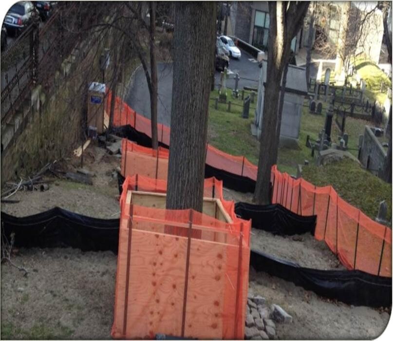 Images SavATree - Tree Service & Lawn Care