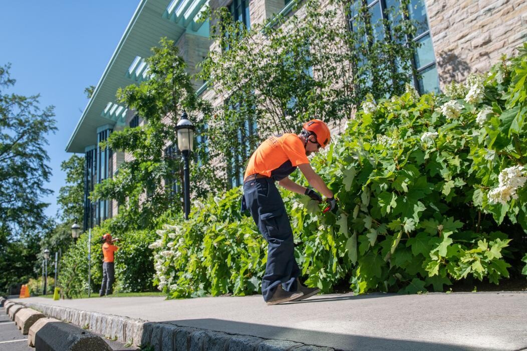 Images SavATree - Tree Service & Lawn Care