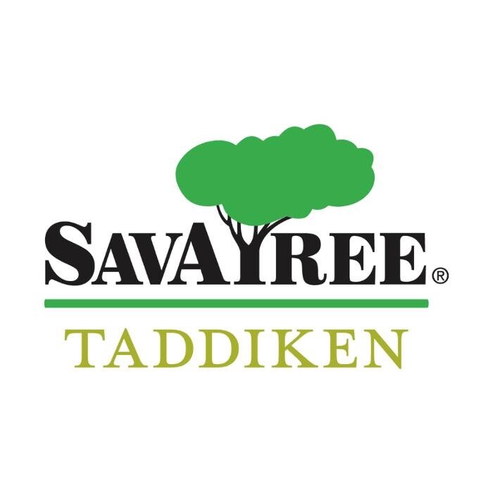 SavATree Logo