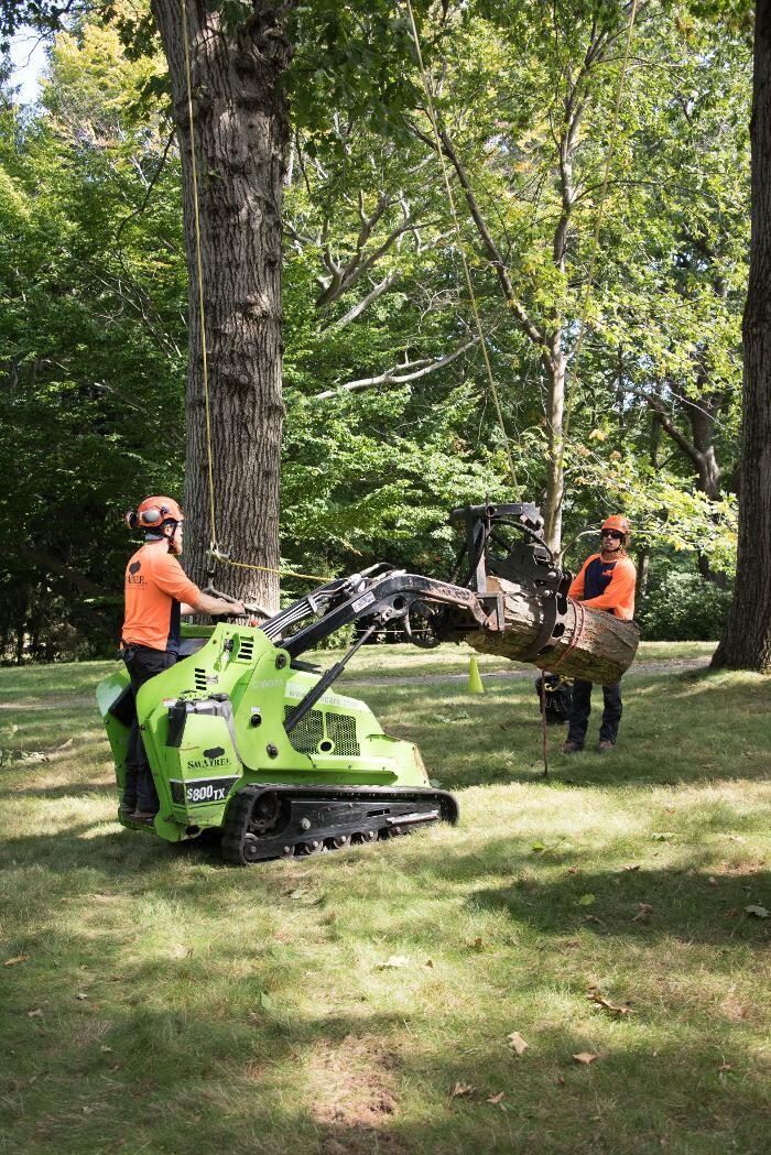 Images SavATree - Tree Service