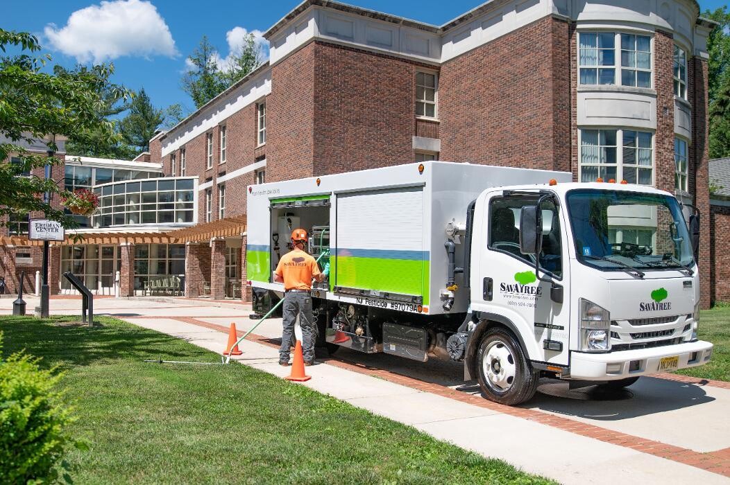 Images SavATree - Tree Service