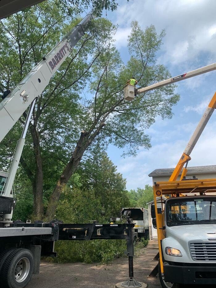 Images Barrett's Tree Service - SavATree