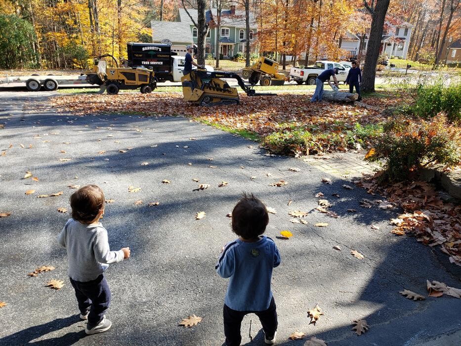 Images Barrett's Tree Service - SavATree