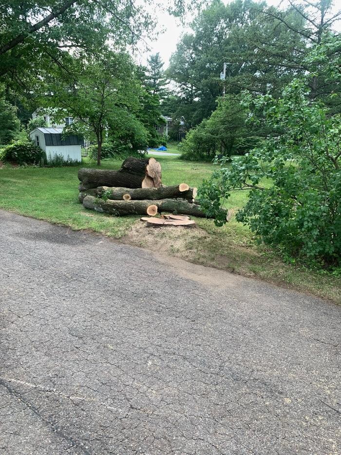 Images Barrett's Tree Service - SavATree