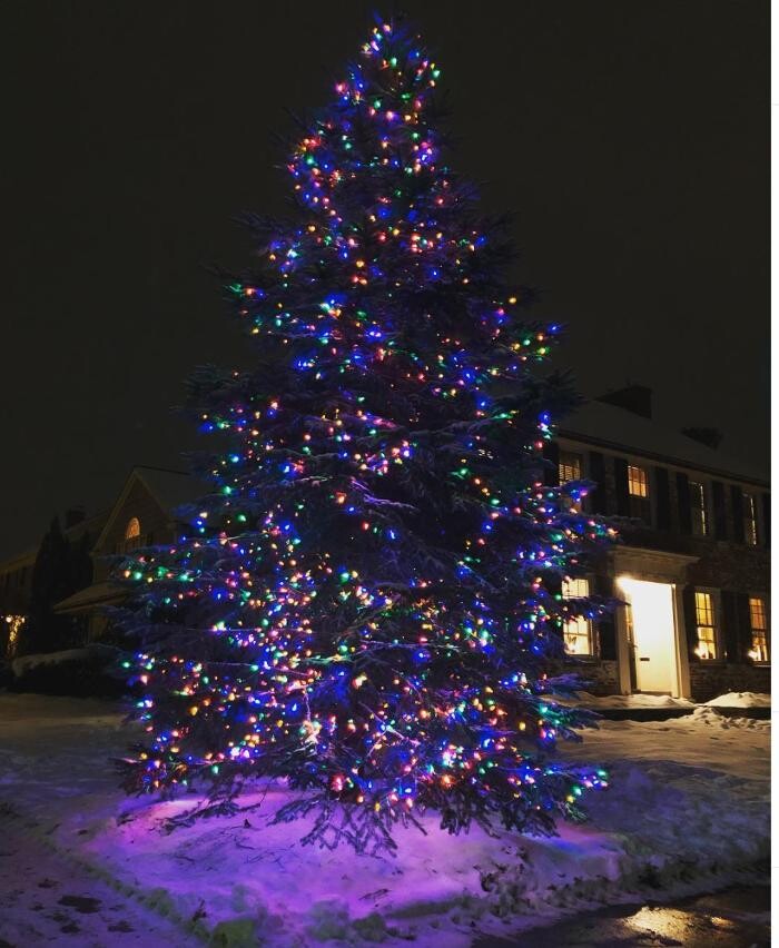 Images Barrett's Tree Service - SavATree