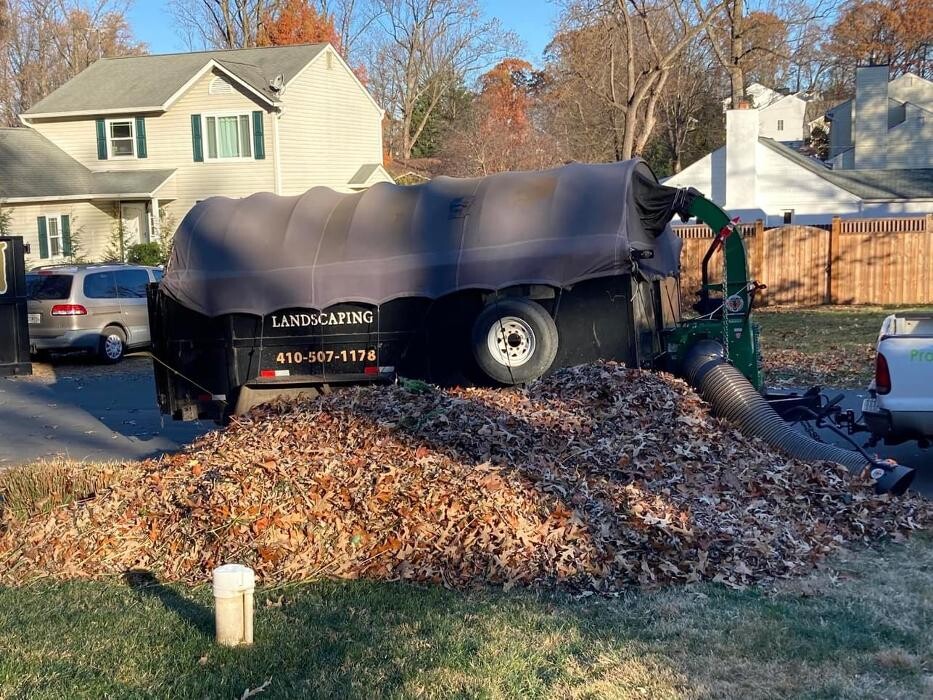 Images Tayman Lawn and Landscaping