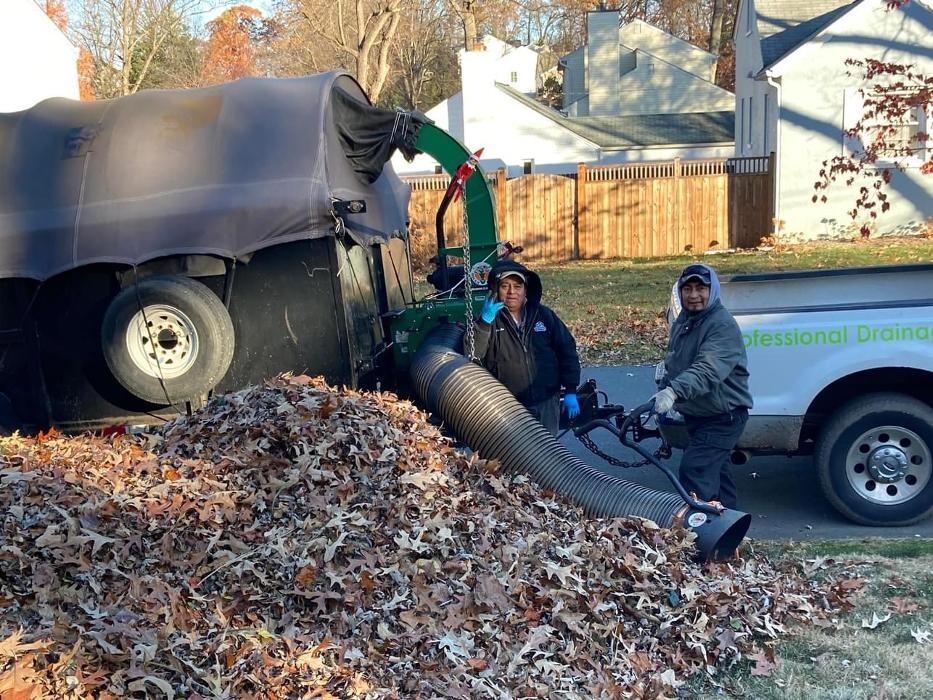 Images Tayman Lawn and Landscaping