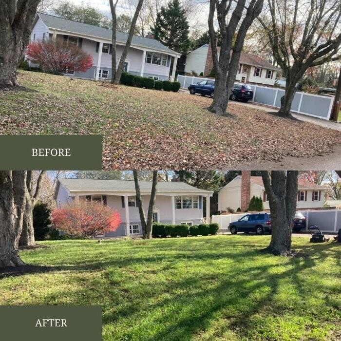 Images Tayman Lawn and Landscaping