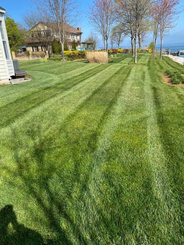 Images Tayman Lawn and Landscaping