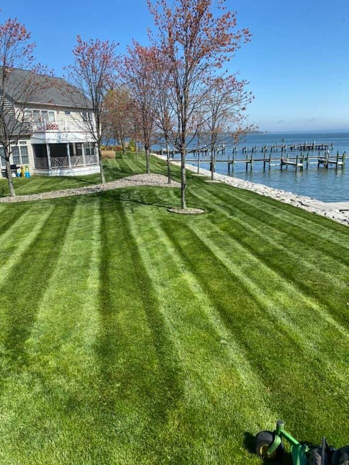 Images Tayman Lawn and Landscaping