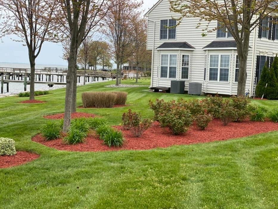 Images Tayman Lawn and Landscaping