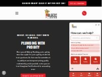 Website Screenshot Molberg Plumbing