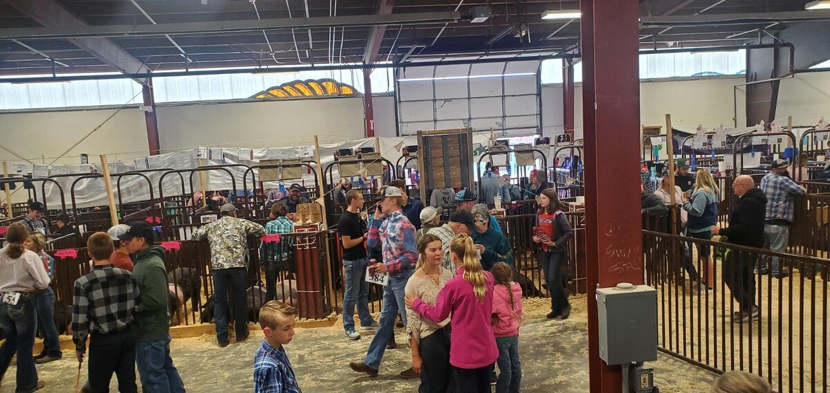 Images Rain Master Seamless Rain Gutters