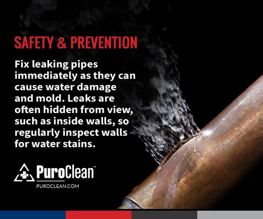 Images PuroClean of South Atlanta