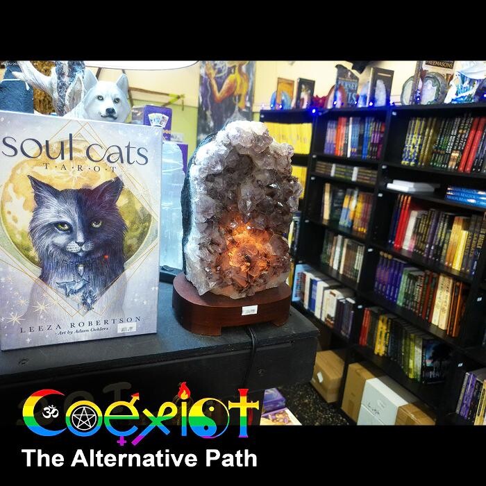 Images The Alternative Path-Coexist