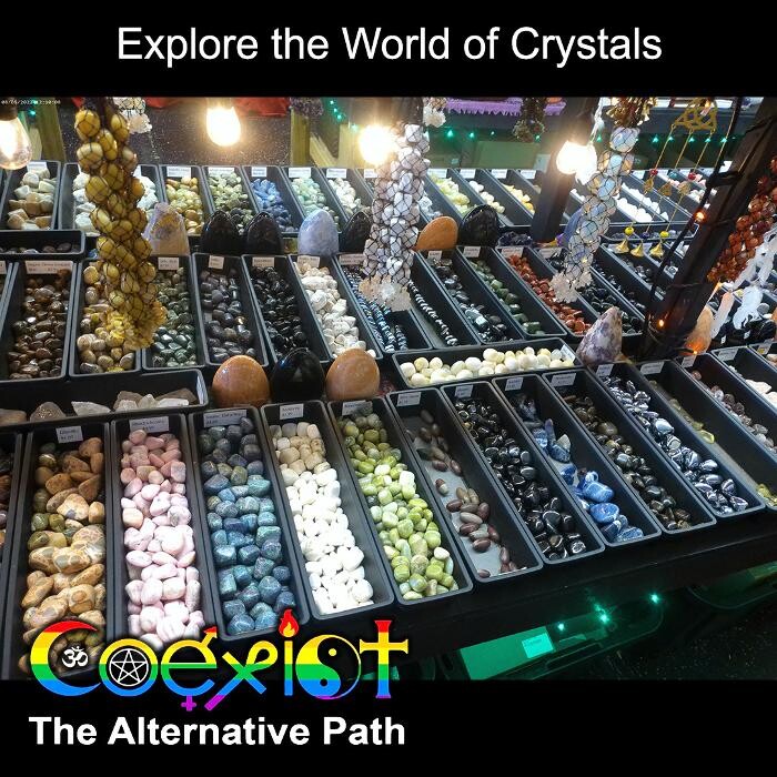 Images The Alternative Path-Coexist