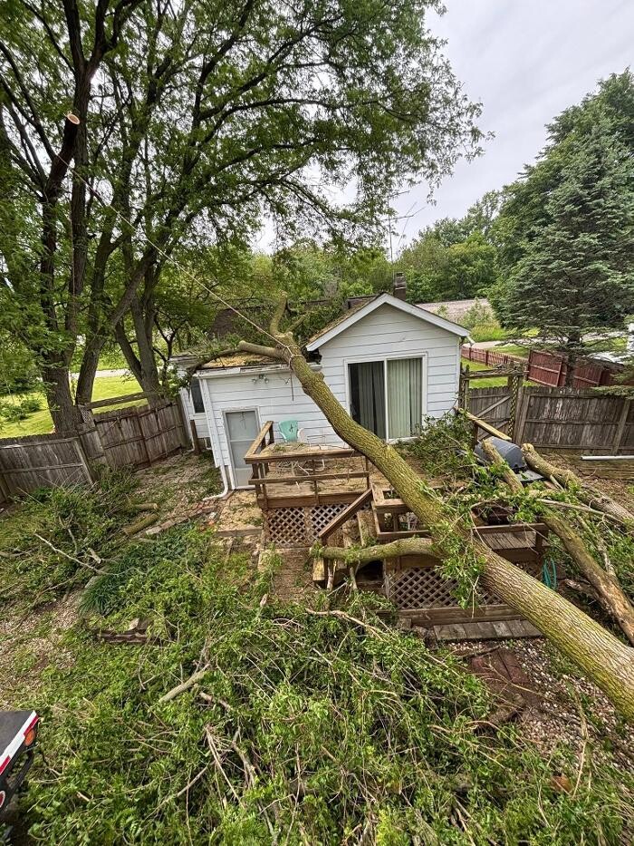 Images Plue's Tree Service