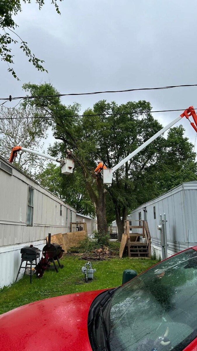 Images Plue's Tree Service