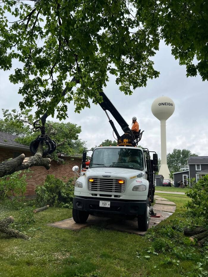 Images Plue's Tree Service