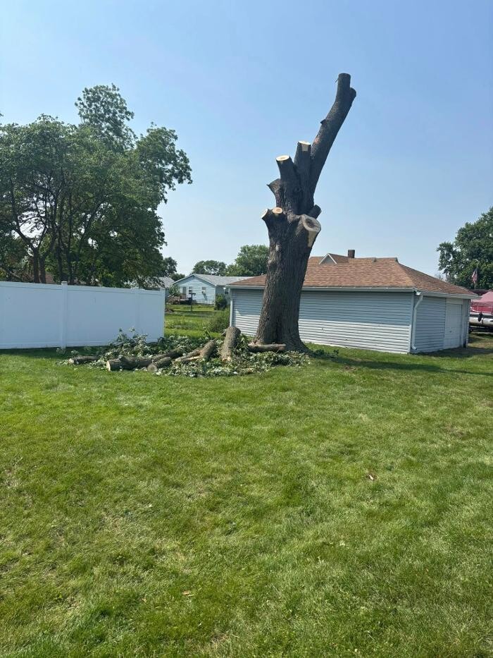 Images Plue's Tree Service