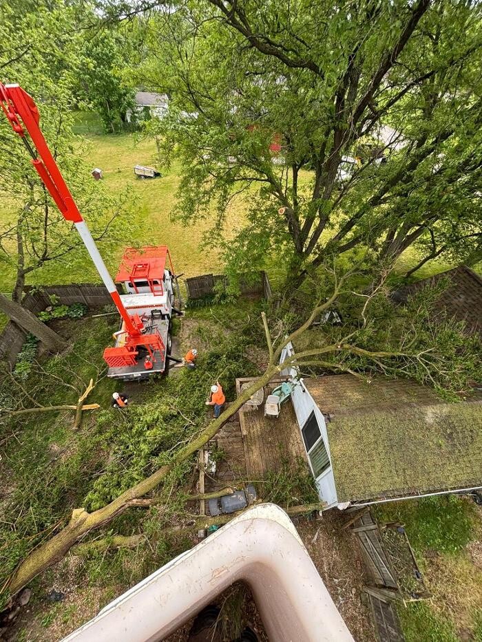 Images Plue's Tree Service