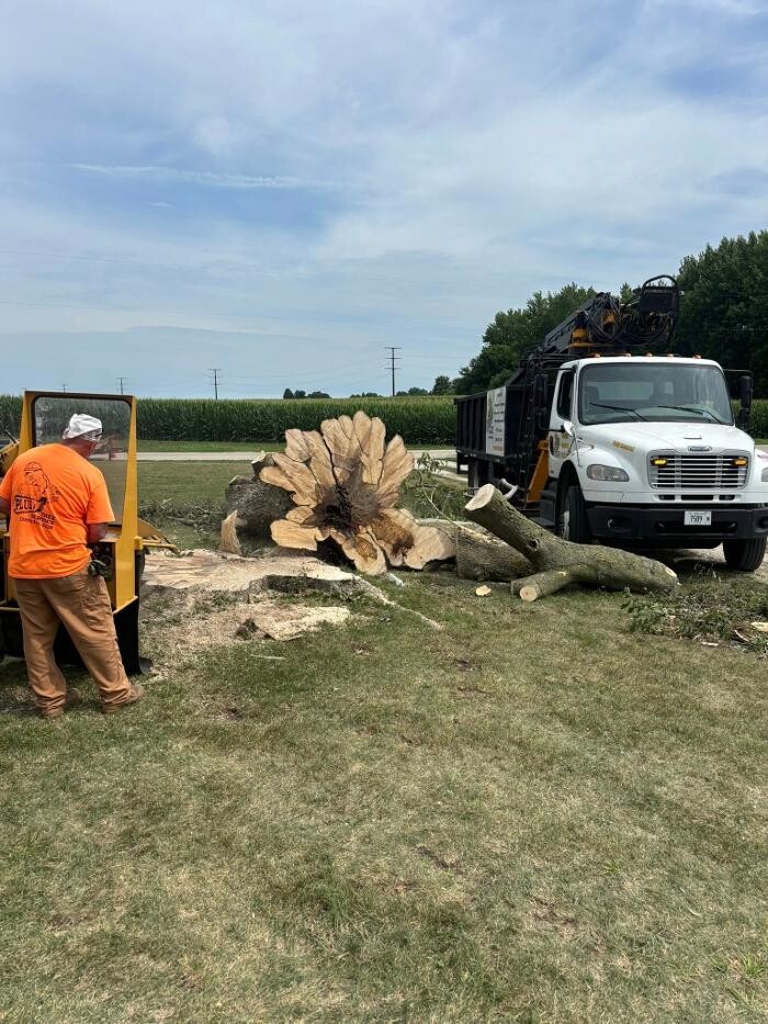 Images Plue's Tree Service