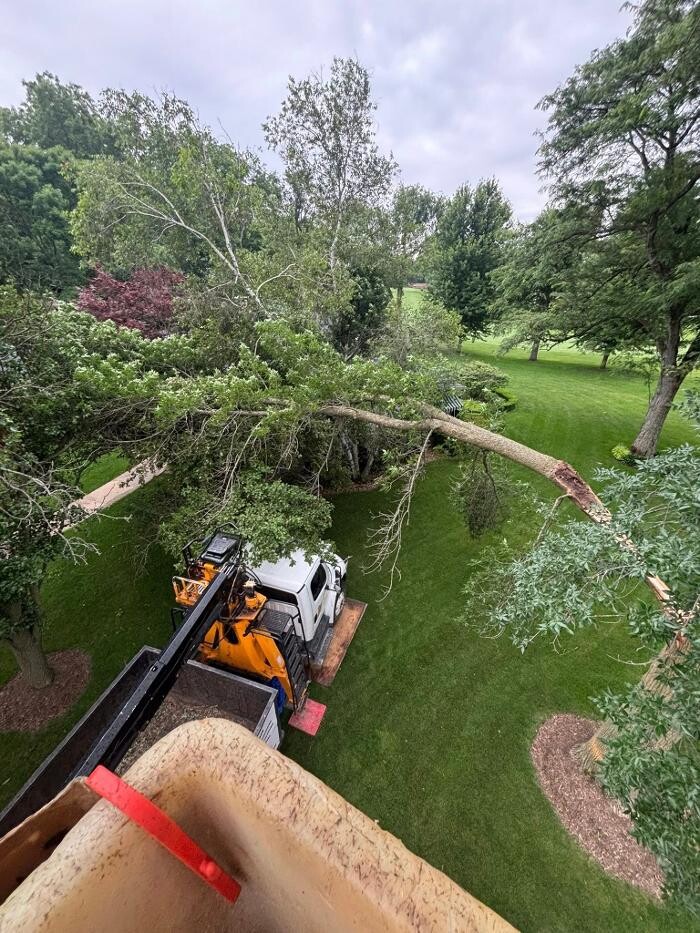 Images Plue's Tree Service