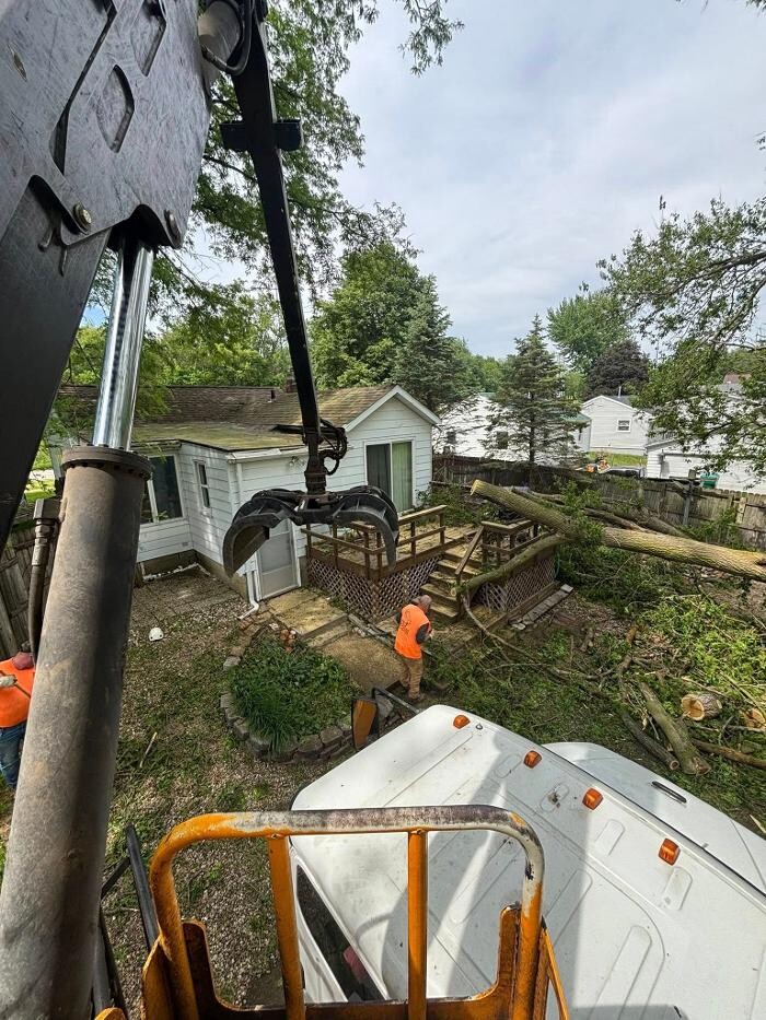 Images Plue's Tree Service