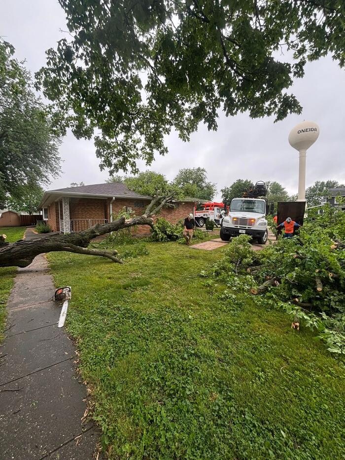 Images Plue's Tree Service